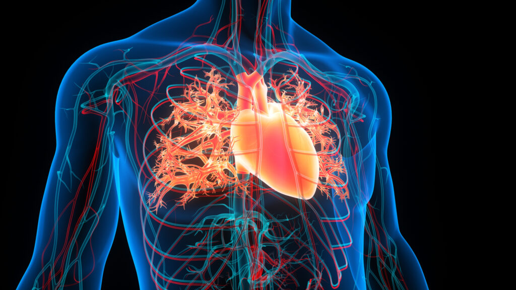 Congestive Heart Failure: Symptoms, Stages, and Modern Treatment Approaches