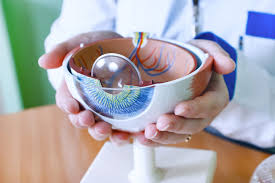 How Cataract Surgery Benefits Seniors