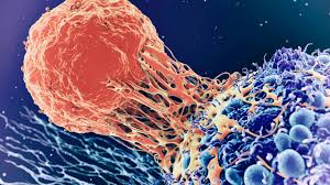 Exploring Cancer Prevention for Every Age