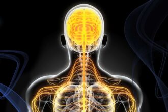 The Role of Neurological Surgeons in Avoiding Further Spinal Damage