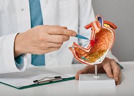 What Do Digestive Disease Specialists Treat?