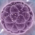 Reproductive Technologies