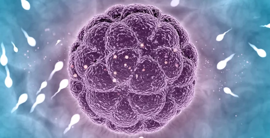 Reproductive Technologies
