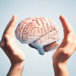 Brain Function and General Neurology