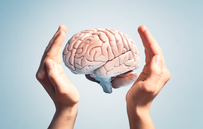 Brain Function and General Neurology