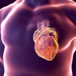 Link Between TRT and Heart Health