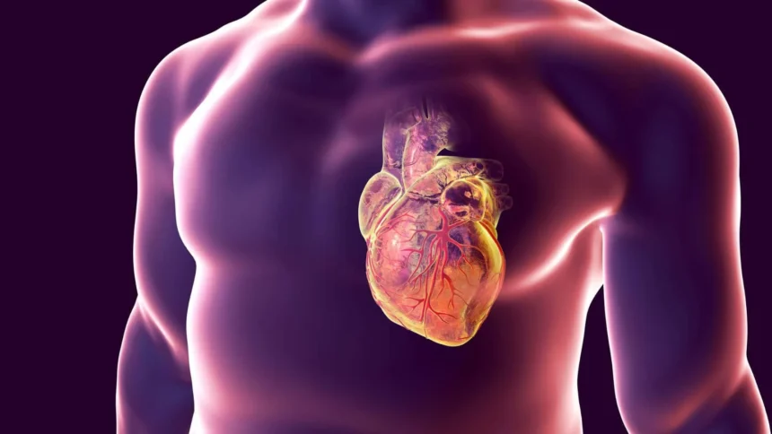 Link Between TRT and Heart Health